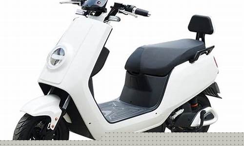 电动车十大品牌排行榜_电动车十大品牌排行榜前十名