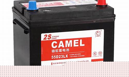 奇骏汽车电瓶价格_奇骏汽车电瓶价格表