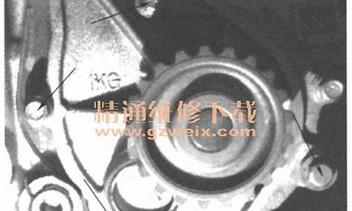 奇瑞威麟H6水泵_奇瑞瑞虎水泵更换