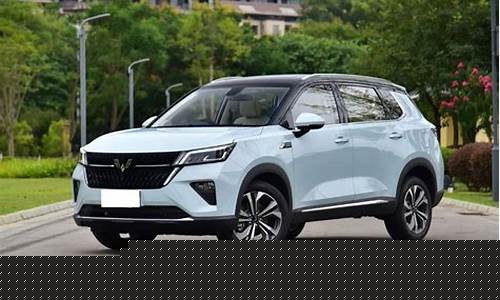 10万左右公认最好的车_10万左右公认最好的车suv